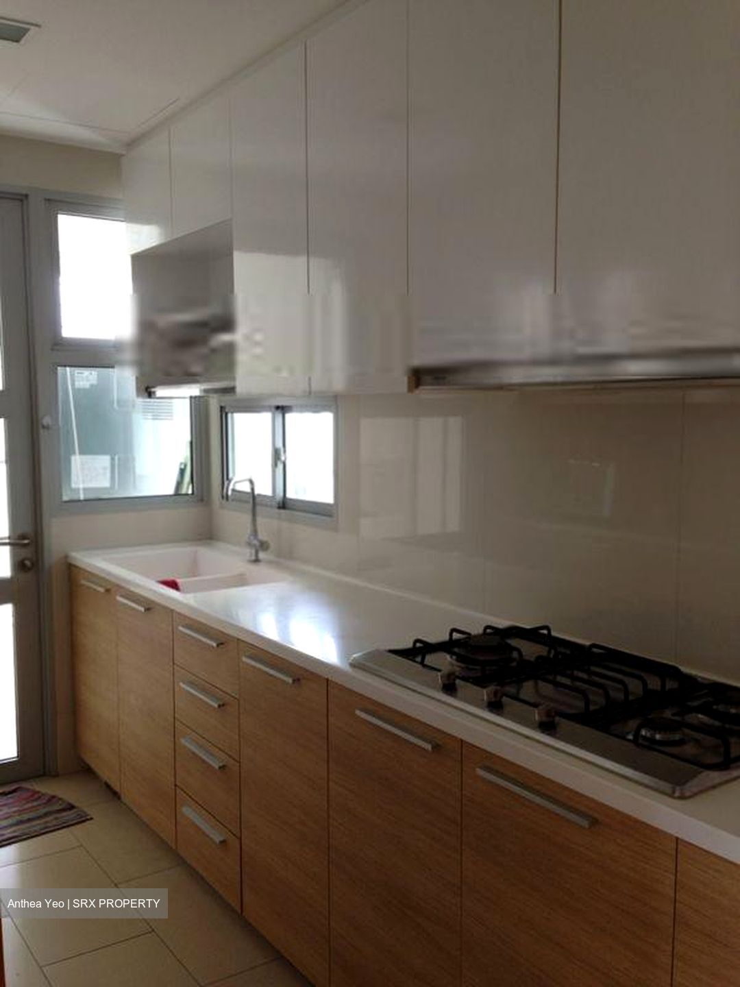 Clover By The Park (D20), Condominium #580188981